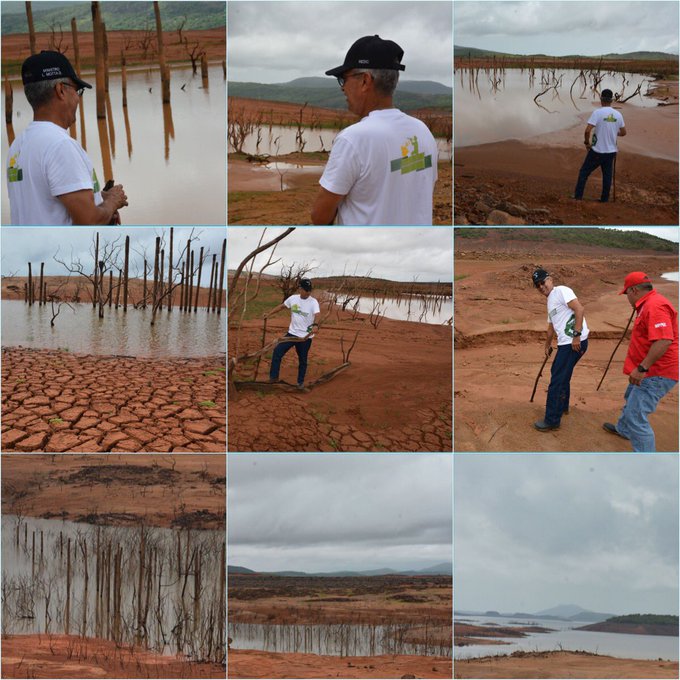 Ver imagen en Twitter