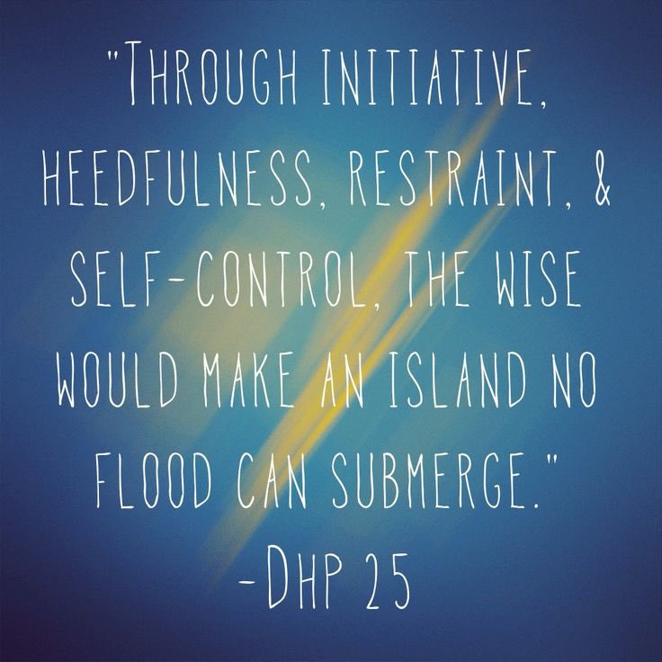 The Dhammapada tweet media