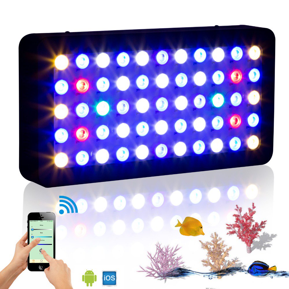 johnmilton050's tweet image. Easy Steps To Setting Up Your First #LedFishTankLight
bit.ly/1Unz0DG
#led #fishtanklight