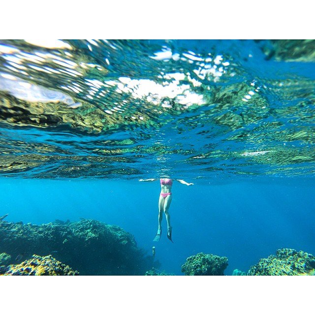AKResort's tweet photo. 🐠 #Roatan #mayakey #snorkel #snorkeling #gopro #barrierreef #bayislands : @__courtneylea https://t.co/OqOUxEOgQE