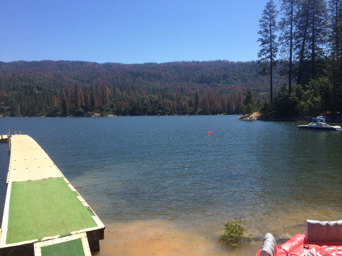 laurrraaaa_'s tweet photo. My office for the next 3 months 😍 https://t.co/laeT71AhdP