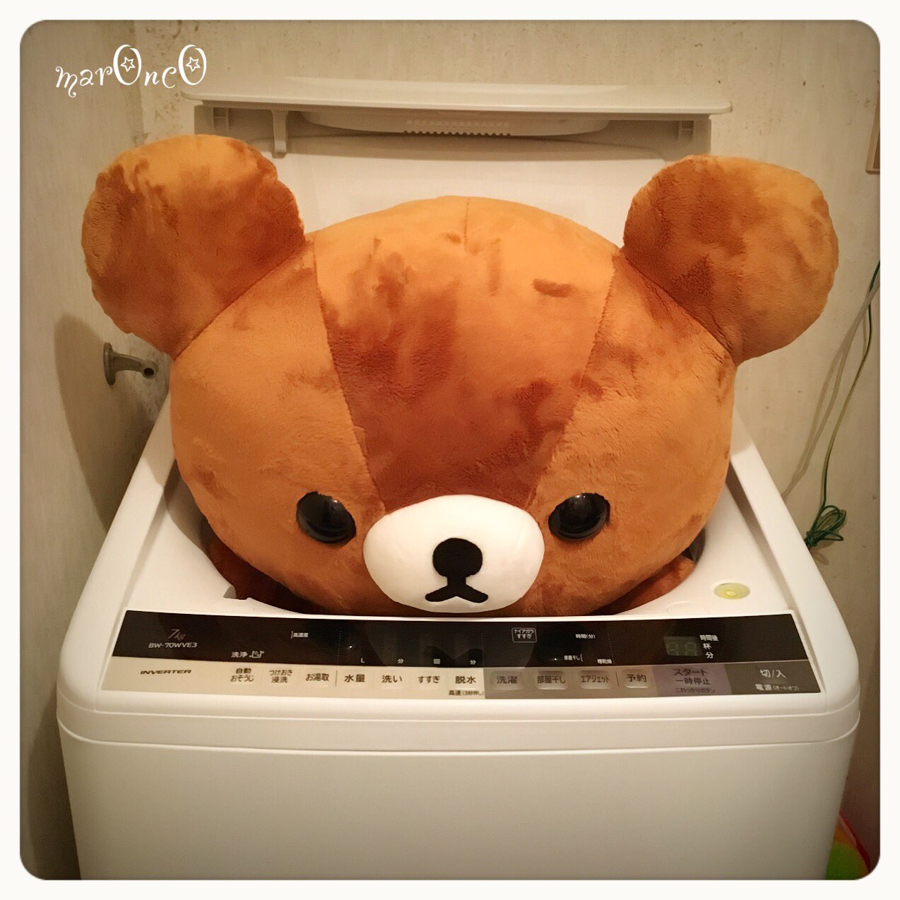 特大チャイロイコグマぬいぐるみ 入荷しました！【所沢店