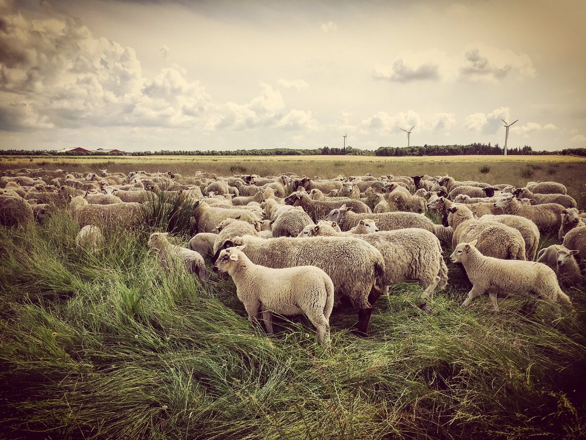 Paul Cunningham tweet media