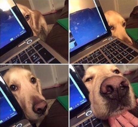 DonReclamon💎 tweet media