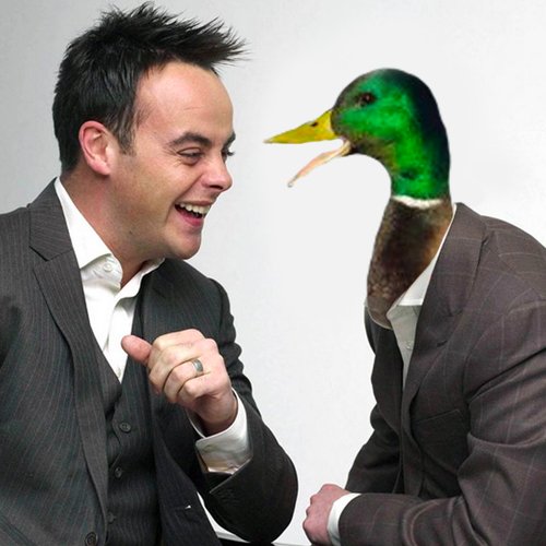 AntAndDuck's tweet photo. https://t.co/Ua8K7iSWbo