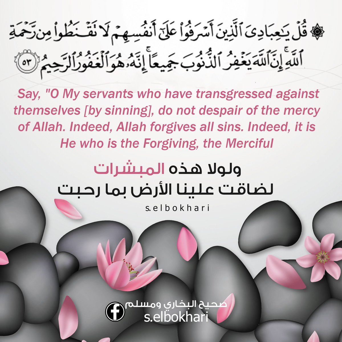 s_elbokhari's tweet photo. #أستغفر_الله_��_أتوب_اليه
@DrMnz @___do3a1 @RTwit_1 @Kh_ija https://t.co/wPSnqLg90k