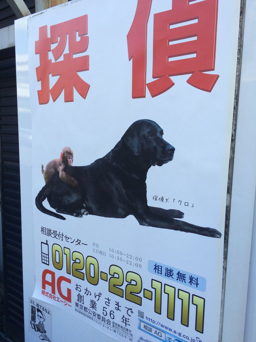 Jerryaudio's tweet image. …?