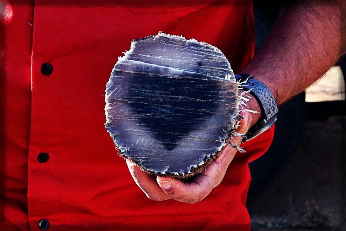 Did you know that when you professionally de-horn a rhino there is the shape of a heart inside. #wonderofnature