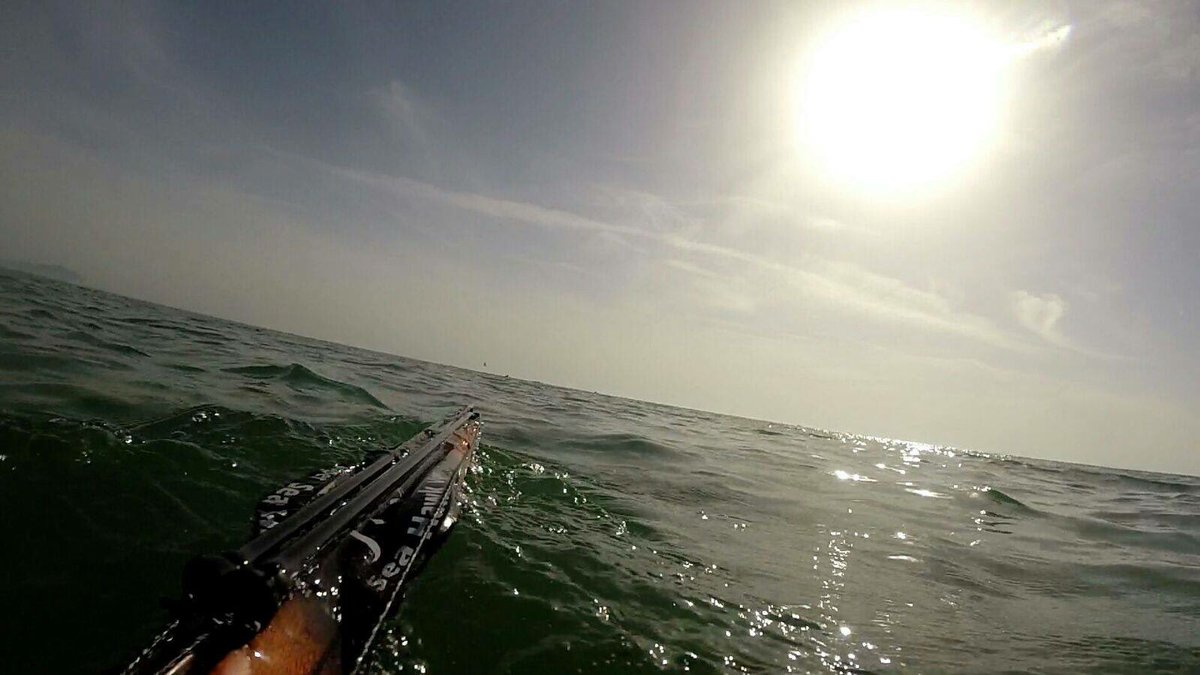 RidwanDjafar's tweet photo. Spearfishing at sorong😘 https://t.co/iJqJyPV2gX