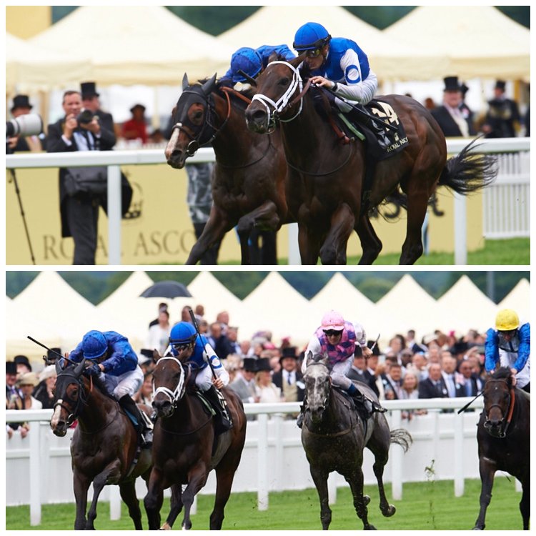 RacingDubai's tweet photo. US raider Tepin 1st to win Queen Anne from outside Europe. Could she continue globetrotting in Dubai this winter? https://t.co/f16aKQL1vp