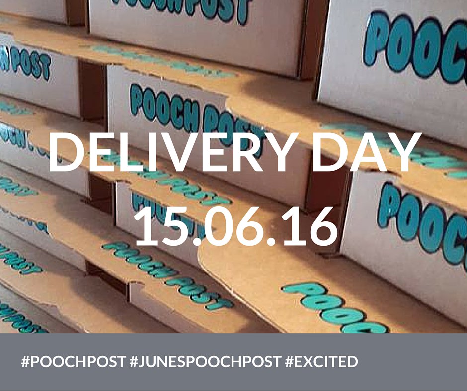 Pooch_Post's tweet photo. #PoochPost #JunesPoochPost #Excited https://t.co/WsknjEKccq