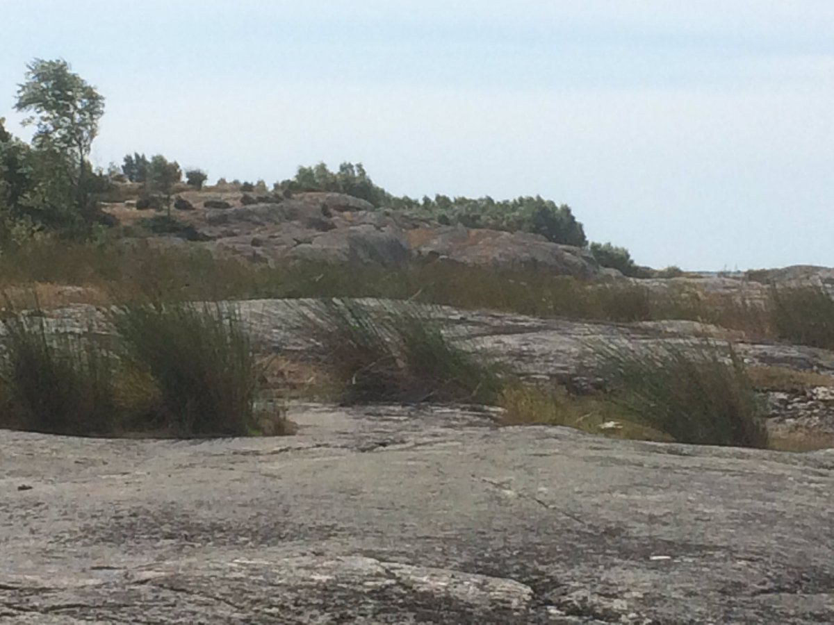 Unescosverige's tweet photo. Unescos Biosfärområde Blekinge Arkipelag fr pengar för utveckl av natur- &amp; kulturupplevelser https://t.co/cpy6LaaQfl https://t.co/p4jLcOTXUi