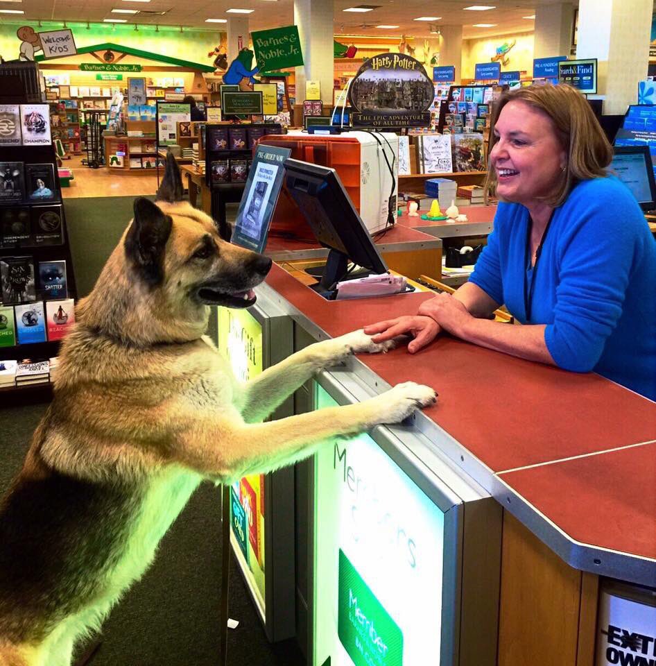 BnBridgewater's tweet photo. This Monday @ 10 come read with #Simber! What story do you think Simber wants to hear? https://t.co/Rmb6pCvH3G https://t.co/YolAUJJY34