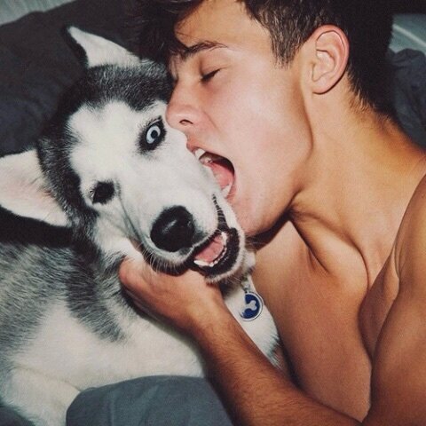 PoseidonRussel's tweet photo. lovely buddy ❤ https://t.co/eLofNRXZYL
