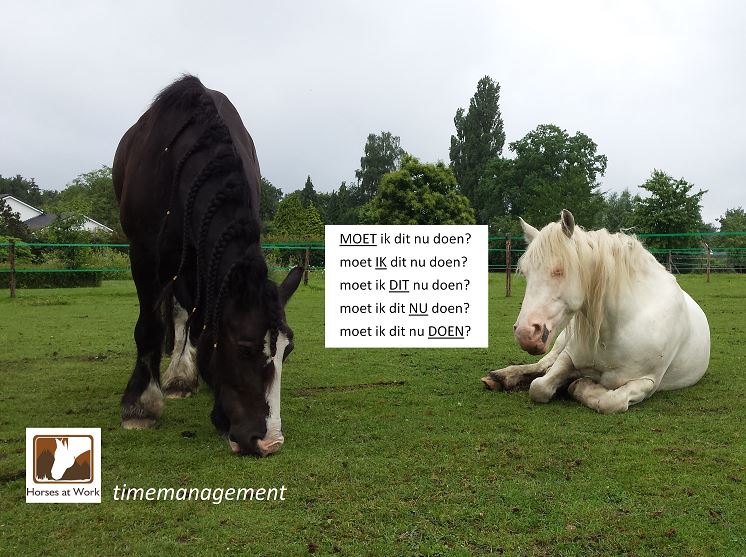 DannyNehm's tweet image. #TimeManagement