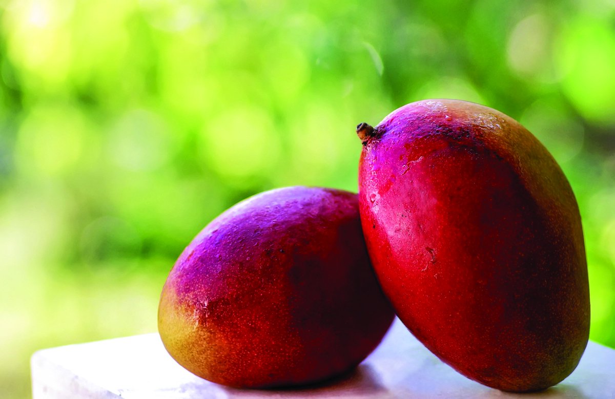 ResearchSEA's tweet image. Nanotech extends shelf life of fresh fruit researchsea.com/asia_research_… @IDRC_CRDI #nanotechnology #hexanal