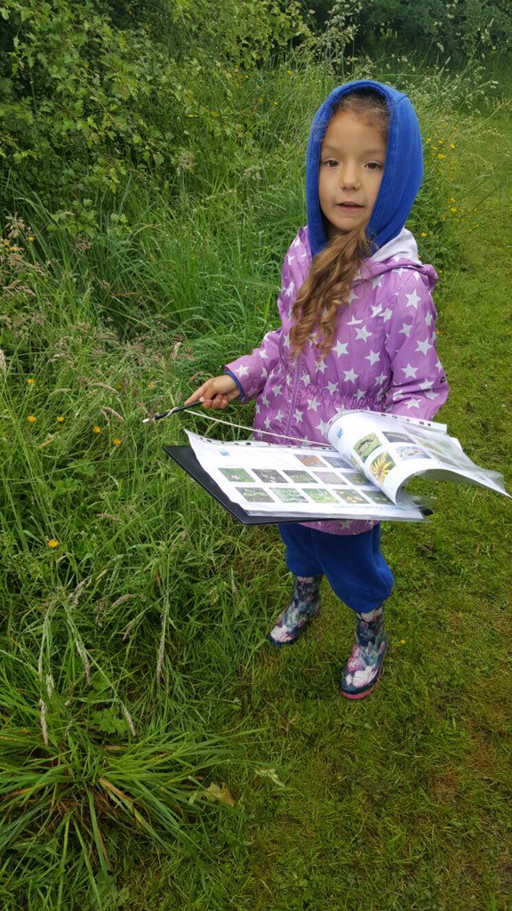 ClasePrimary's tweet photo. Blwydden Dau have been working hard on a bioblitz in Coed Clase with @rspbCymru #naturedetectives #exploringwildlife https://t.co/spGZWCbA6W