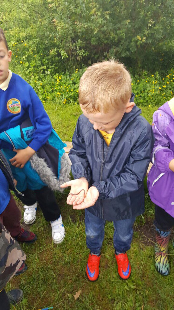 ClasePrimary's tweet photo. Blwydden Dau have been working hard on a bioblitz in Coed Clase with @rspbCymru #naturedetectives #exploringwildlife https://t.co/84kzSL9QD0