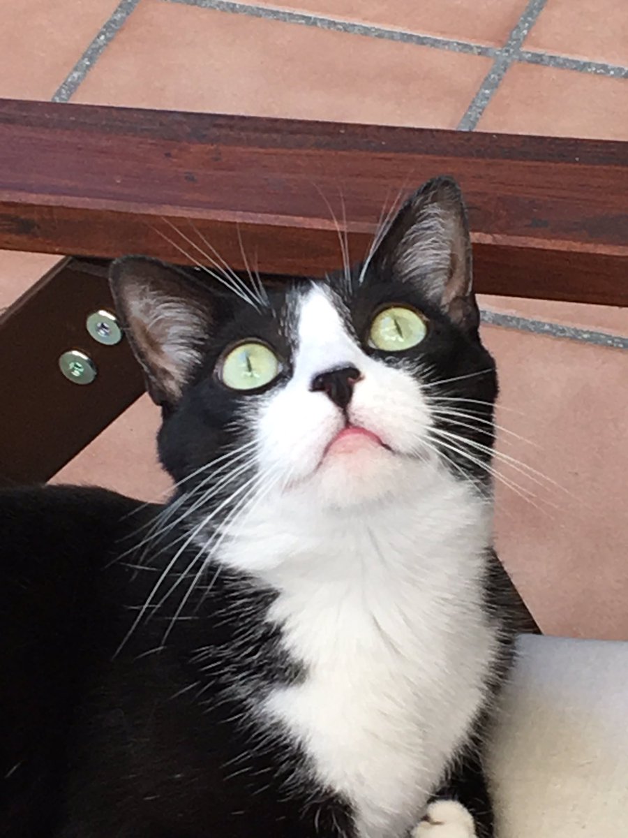 Varona, se llama pajarito. Su propio nombre lo indica: PA-JARITO! Deja que me lo coma, daleeee! <a href="/Panchovarona/">Pancho Varona</a>