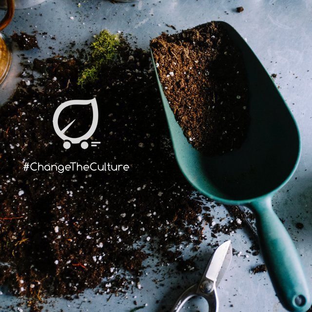 plant2go's tweet photo. From a small seed a mighty trunk may grow.

#GreenGifting #ChangeTheCulture #LuvEarth #Plant2Go #ComingSoon https://t.co/COaduVDFnn