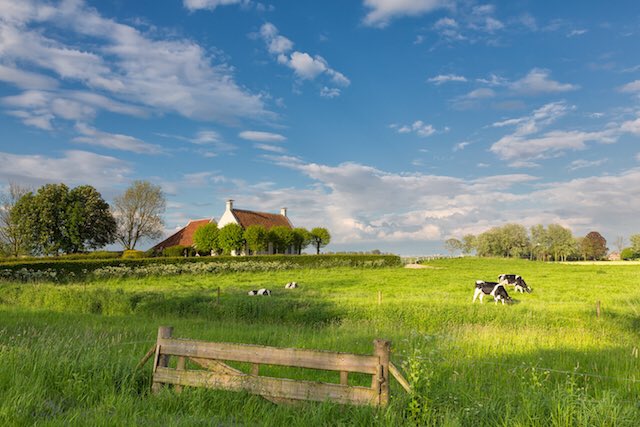Yes, het is gelukt!Dankzij een motie van <a href="/CDA_DRV/">CDA De Ronde Venen</a>, Ruim 60 % bewoners buitengebied wil snel internet! <a href="/gemeentedrv/">Gem. De Ronde Venen</a>!