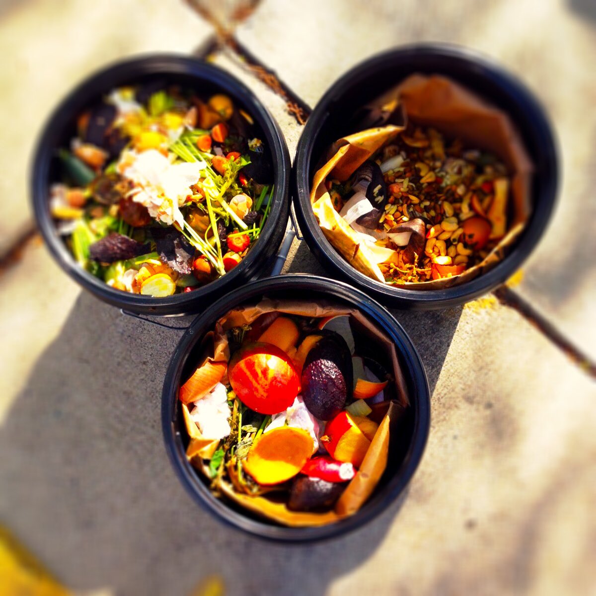 We love a good-looking batch of food waste. #closetheloop