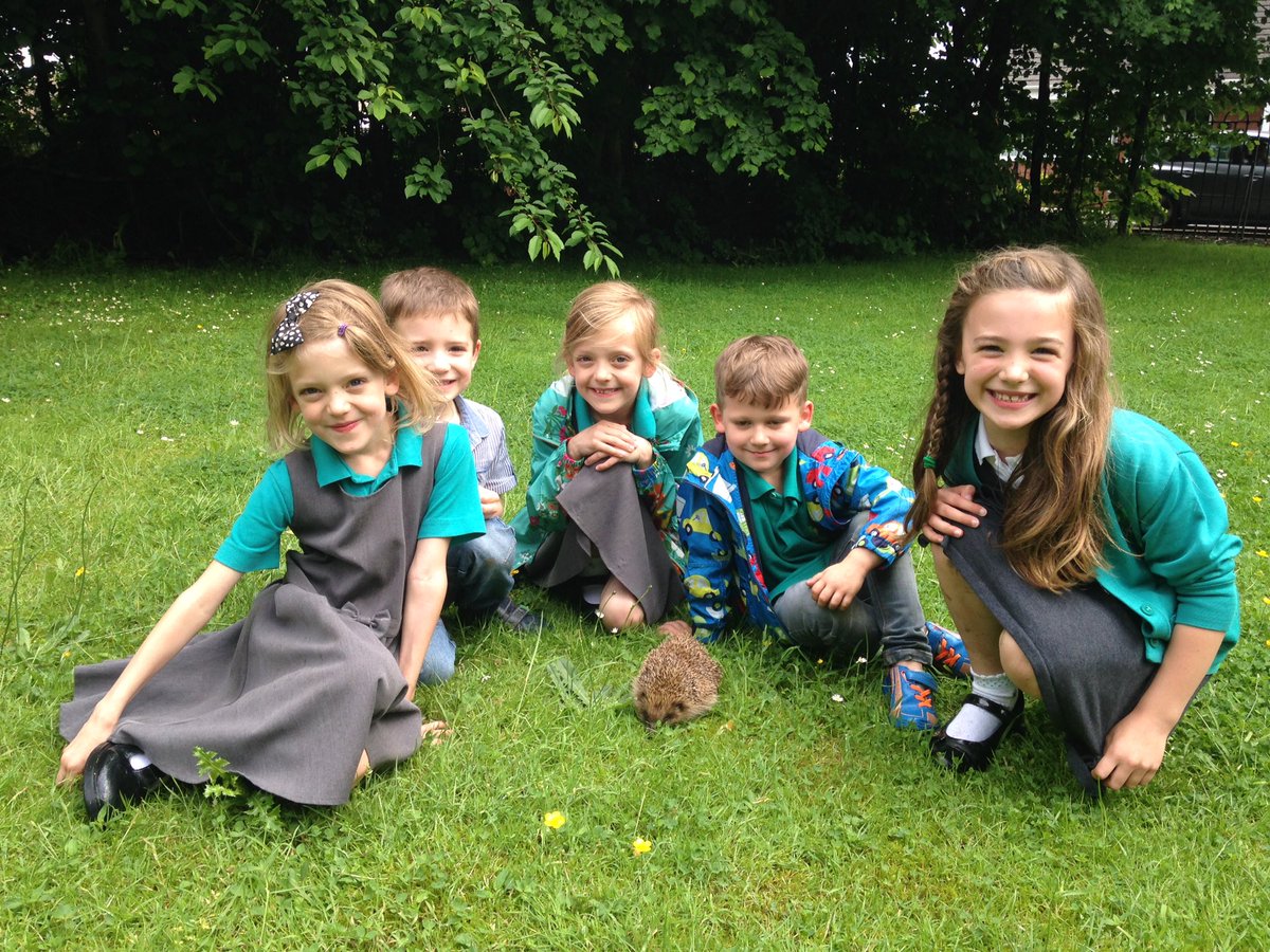 Shellster78's tweet photo. @OakthorpeSchool @j4sonmoffat68 
Look what the girls spotted after school today! https://t.co/A8YmnqPoQL