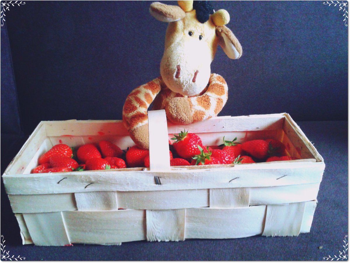 TomyJiraffa's tweet photo. Today I bought strawberries.
Hoy he comprado fresas.
#ricas #fresas #sweet #strawberries #TomyJiraffa #sabores #ñam https://t.co/TQcvgo02Hn
