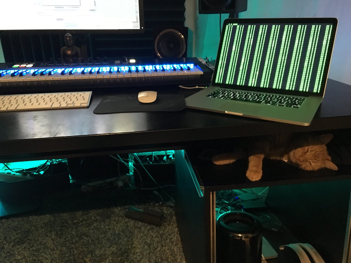 sw0tmusic's tweet photo. :-) #cat #producer #logic #ableton #trance #sw0t #music #catlife #producerlife #catpro #macpro https://t.co/8vxgqsX1qM