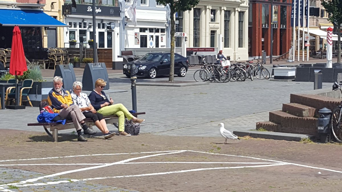 Zilverneeuw (geel BP). Staat te schooien bij de haringkar #Vlissingen. Doet dit al minstens 13 jaar!! Goed plekje.