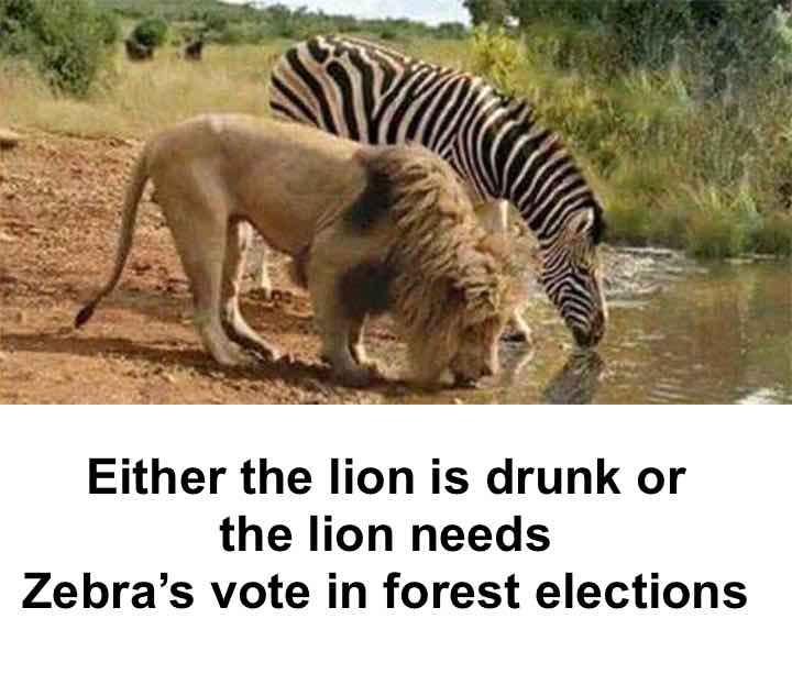 RConthetop's tweet image. 