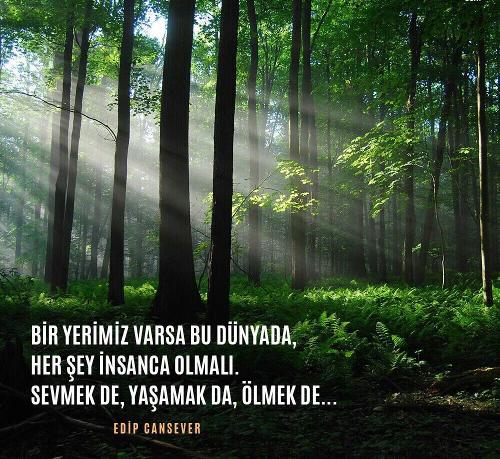 Bir yerimiz varsa bu dünyada, her şey insanca olmalı. Sevmek de, yaşamak da, ölmek de...

/Edip Cansever/