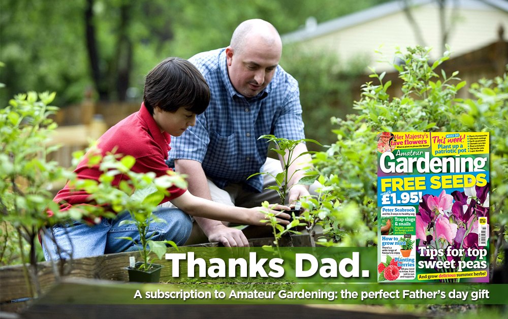 Get father's day sorted by gifting him the best gardening weekly for under £1 an issue! >> po.st/YhLw9V