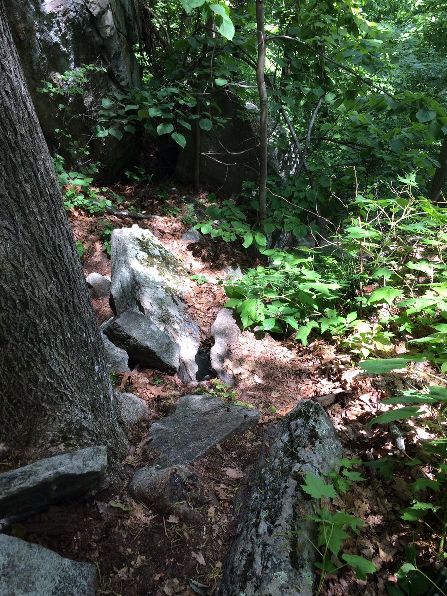 WingnutontheAT's tweet photo. Day 40:(Delayed-lack of cell signal) 10 mi v steep up/dn to Housatanic Rvr https://t.co/bT5zo8IH0S