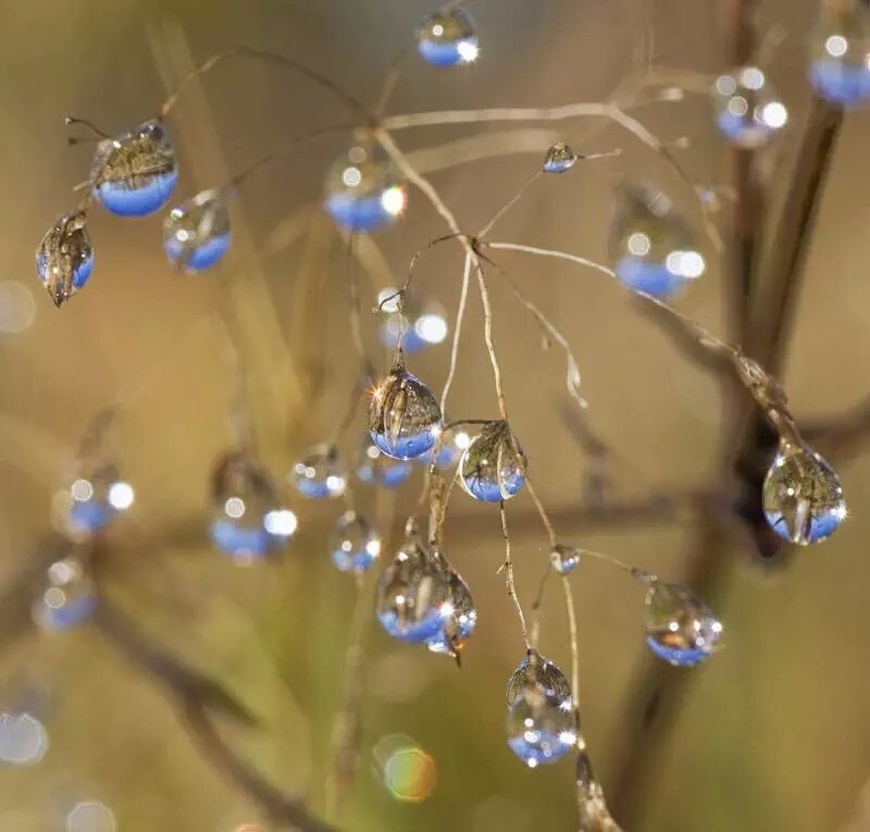 누군가의
약속을

너무
굳게 믿지는 말아요

그 사람이
약속을 안 지킬수도 있다는
빈자리는 남겨두세요

그래야
조금은 덜 실망하고
조금 덜 힘들어 질테니까요