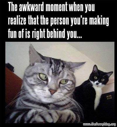NaughtyCatzilla's tweet photo. Remember that #Awkward moment?
#PURRfect #Kitty #Pussy #Cat #Androgyny #Trans* #FTM #MTF
#Comic #Art #Fun @ChaseRoss https://t.co/xsZ7wVU2Lm