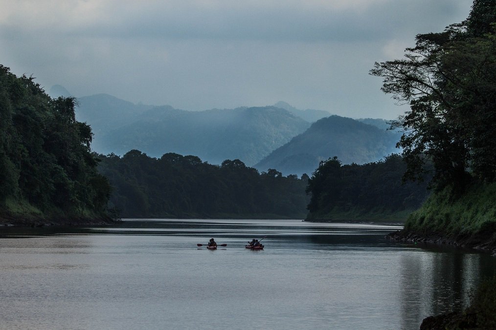 AdventuresTree's tweet image. Explore the #backwaters of #kerala with #kayaking in Kerala goo.gl/847sCb