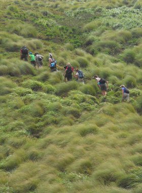 AdventuresTree's tweet image. Customize your #Hiking Trips #Trekking Tours and Walking #Holidays in India goo.gl/S6sVbJ