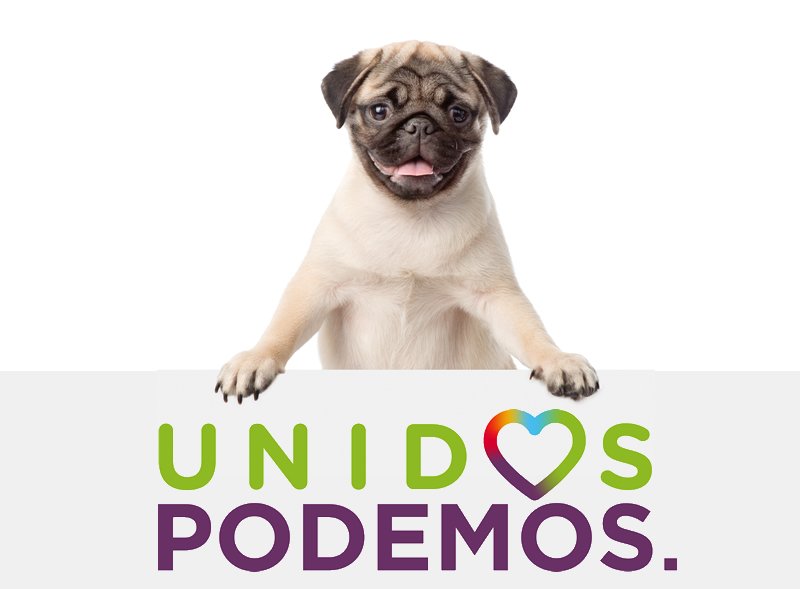 PartidoVerde_es's tweet photo. ¿Qué votar el #26J? Gatitos y perretes lo tienen claro https://t.co/wHlUgmYSAl vía @AnimaNaturalis  @EQUOAnimales https://t.co/lzCb5DGXye