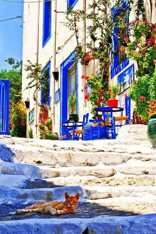 Beni buraya atin ve geri getirmeyin