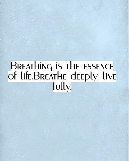 BarcodeCreator's tweet image. "#Breathing is the essence of #life. Breathe deeply, #live fully."