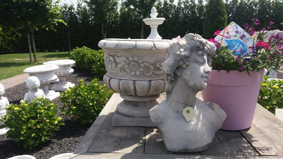 Nieuwe potten binnen,  mooi voor op de tuintafel !!