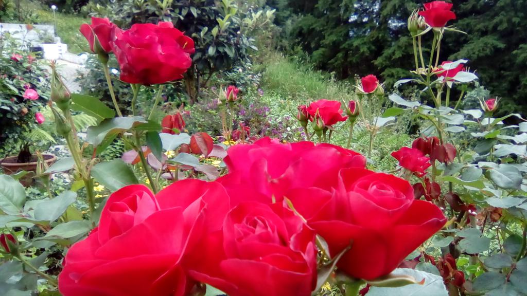 <a href="/mieke_siegersma/">Mieke Siegersma</a> <a href="/moriya19631/">清八😄（kiyohachi）🍀</a> <a href="/17yoshi/">sabumatu819</a> <a href="/62Roses/">Roses</a> <a href="/ppkkyy777/">♡Shakira Jackson♡</a> <a href="/ghadazien/">ghada</a> <a href="/nivea_mc/">Nívea  Marcondes</a> <a href="/Rahankh27662538/">Rehan khan</a> <a href="/GuyGuyDestin/">Guy Destin</a>