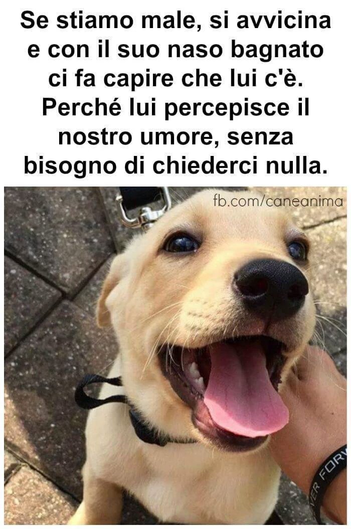 EdiPrevis's tweet image. #inUnModo tutto suo.