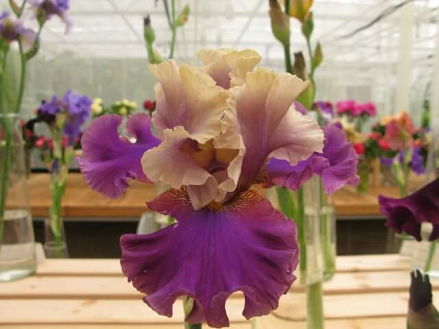 <a href="/MoreiEnf/">Jorge Moreira</a> <a href="/moriya19631/">清八😄（kiyohachi）🍀</a> <a href="/17yoshi/">sabumatu819</a> <a href="/62Roses/">Roses</a> <a href="/ppkkyy777/">♡Shakira Jackson♡</a> <a href="/ghadazien/">ghada</a> <a href="/nivea_mc/">Nívea  Marcondes</a> <a href="/Rahankh27662538/">Rehan khan</a> <a href="/GuyGuyDestin/">Guy Destin</a> GM