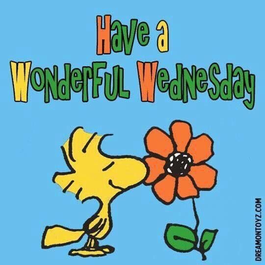 <a href="/nonresidentlord/">NonResident Landlord</a> Thank you. Have a wonderful Wednesday