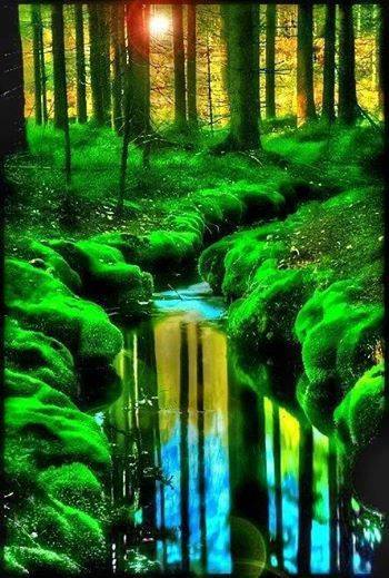 <a href="/redfireage/">Red Fire Age</a> <a href="/trcas/">Tere</a> <a href="/62Roses/">Roses</a> <a href="/memva/">luna llena</a> @Carollsweett @teotl6 <a href="/KibetzVal/">BOX VILLAT</a> <a href="/hna631/">ام ريان</a> <a href="/voicara/">Neysi</a> <a href="/NinaNebo/">Nina</a> @SergioBesos