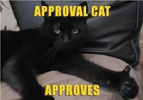 GameSpringOulu's tweet photo. Did he mention cat pictures? Thank you @luke_savage, great stuff! #PSFirst #PSVR #GameSpringOulu https://t.co/4xtivLeZGV