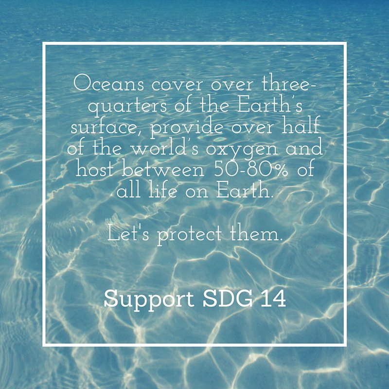 On #WorldOceansDay - 8 June - it's time to reflect on what our #oceans give to us, and what we can do2 protect them.