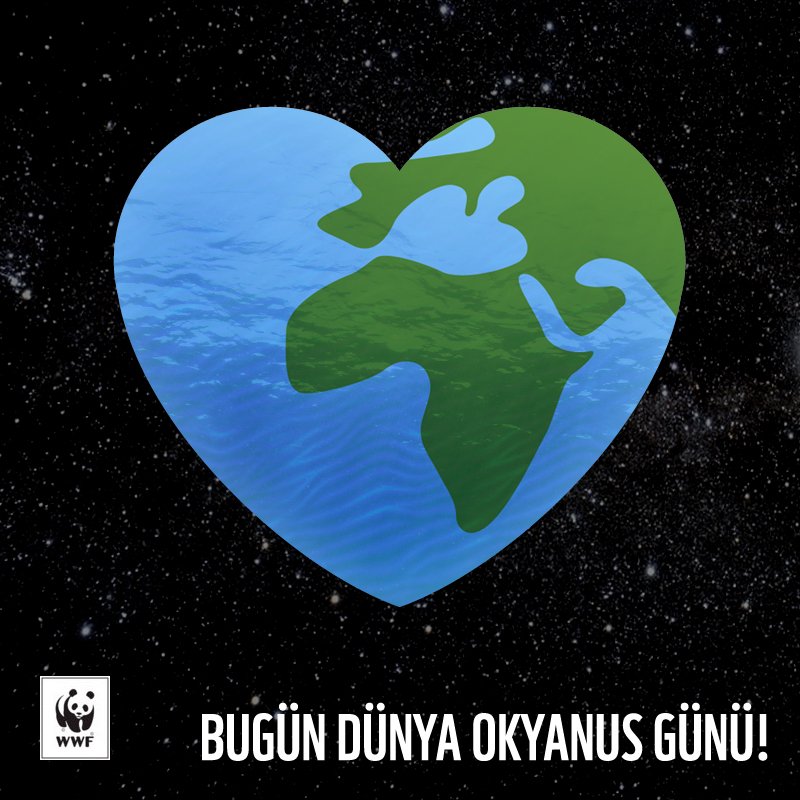 WWF_TURKIYE's tweet photo. Bugün Dünya Okyanus Günü!

Dünyamızın kalbi okyanusları birlikte koruyabiliriz. #BirlikteMümkün https://t.co/n3pfqnDnwz